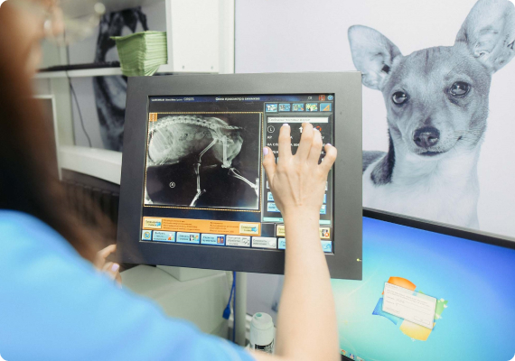 Направлення на рентген діагностику