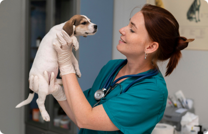 Рекомендації щодо догляду за собаками