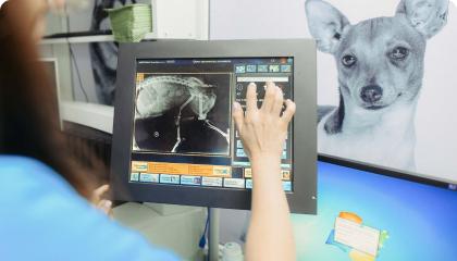 Рентгенографія 