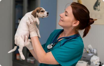 Рекомендації щодо догляду за собаками